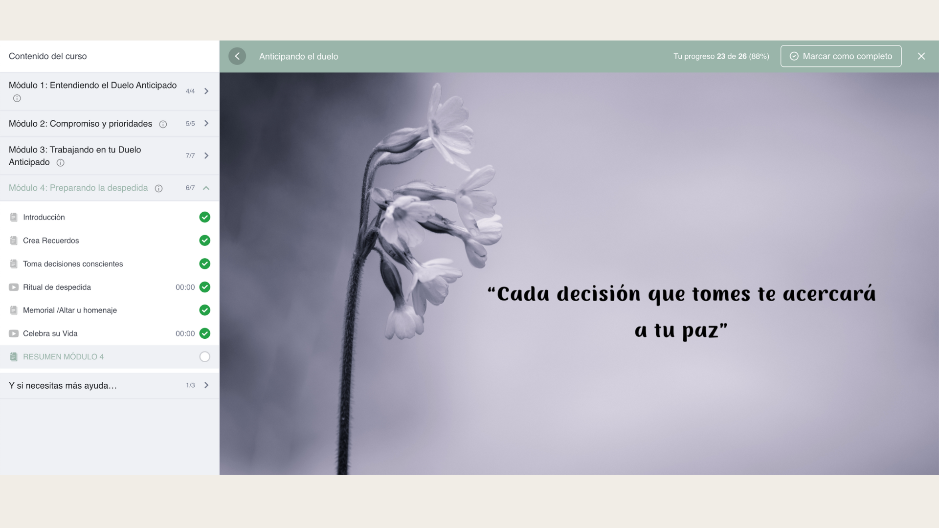 Anticipando el duelo - Imagen 4