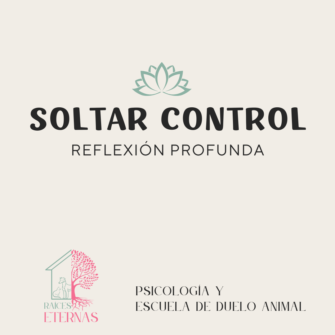 Ejercicio para entender qué es "soltar control"