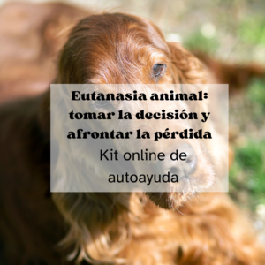 Eutanasia animal: tomar la decisión y afrontar la pérdida