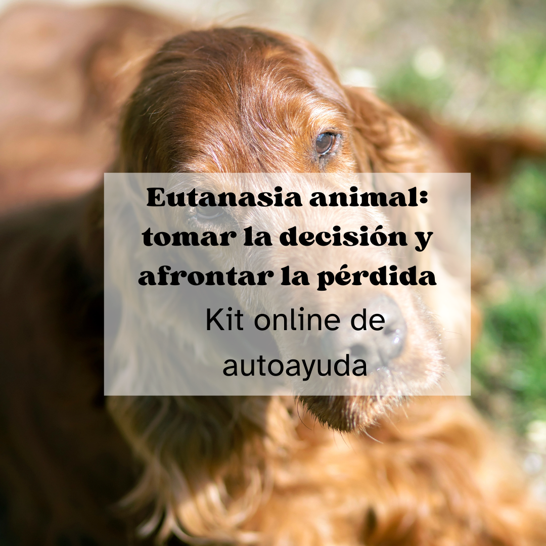 Eutanasia animal: tomar la decisión y afrontar la pérdida