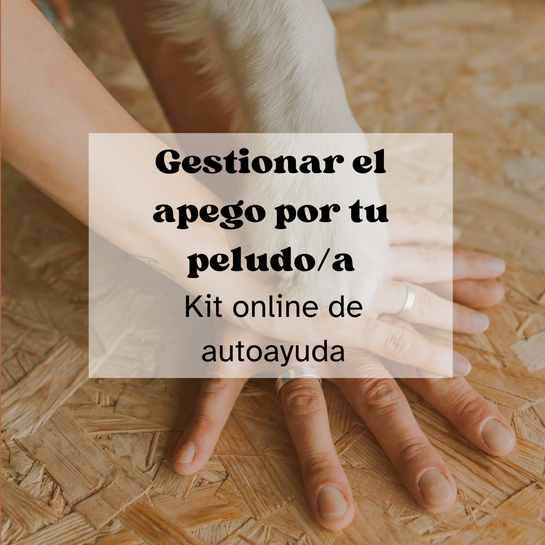 ¿Cómo gestiono y trabajo el apego por mi peludo/a?