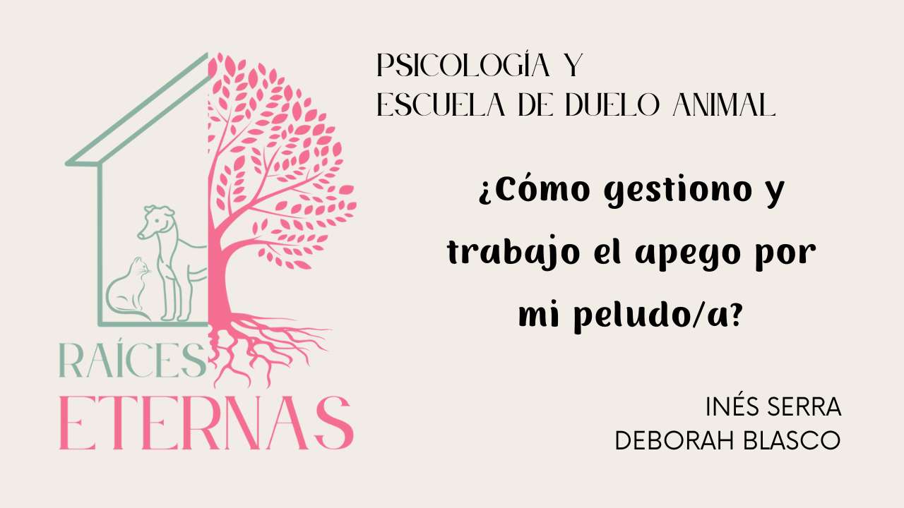 ¿Cómo gestiono y trabajo el apego por mi peludo/a?