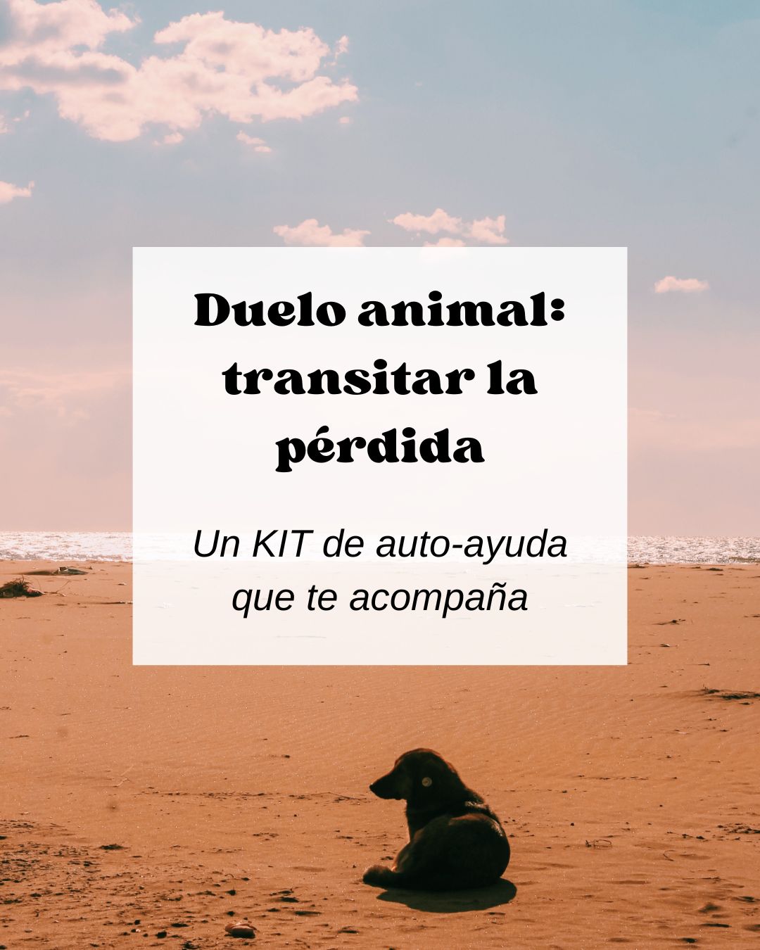 Seguir adelante y convivir con tu duelo