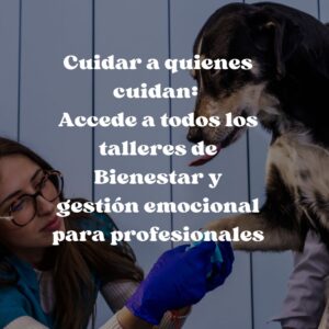 Cuidar a quienes cuidan: Accede a todos los talleres de Bienestar y gestión emocional para profesionales