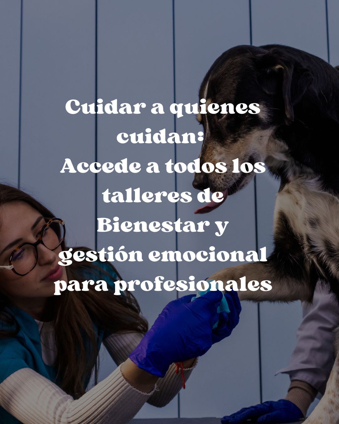 Cuidar a quienes cuidan: Accede a todos los talleres de Bienestar y gestión emocional para profesionales: imagen 1