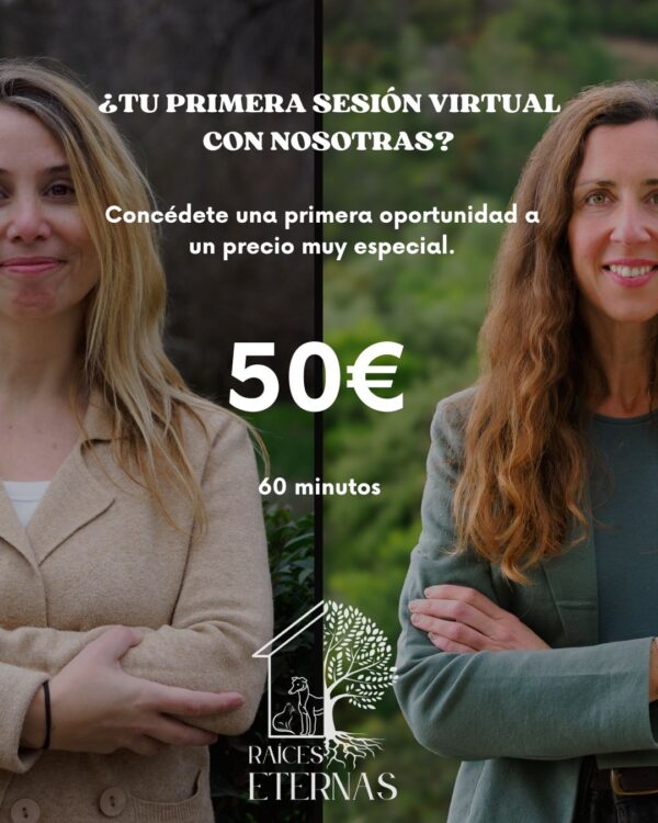 Sesión única por 50€